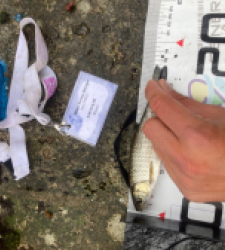 photo prise 52369 par Tim fish 