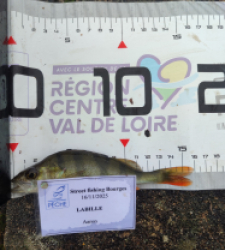 photo prise 52370 par AaronPike