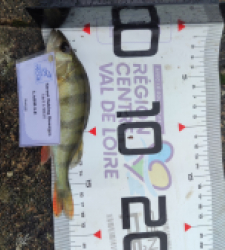 photo prise 52372 par AaronPike