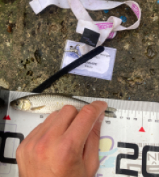 photo prise 52373 par Tim fish 