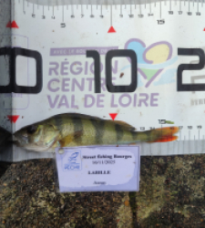 photo prise 52374 par AaronPike