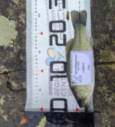 photo prise 52375 par AaronPike