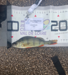 photo prise 52376 par esslingermael6363