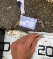 photo prise 52377 par Tim fish 