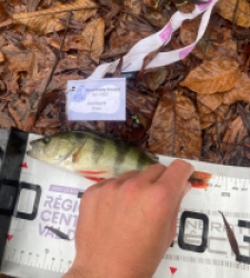 photo prise 52379 par Tim fish 