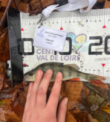 photo prise 52382 par 