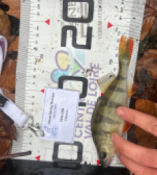 photo prise 52384 par 