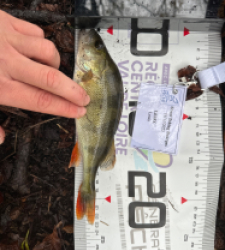 photo prise 52385 par louis.lesec