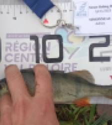 photo prise 52386 par adriensimonneau