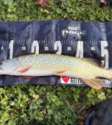 photo prise 52387 par Rimshot12