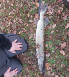 photo prise 52388 par Théo Sincholle