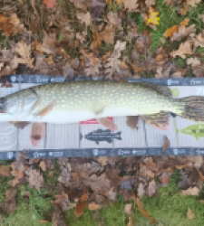 photo prise 52390 par Pierre Burguet