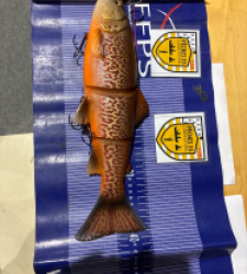 photo prise 52396 par Sam Beckett