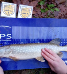 photo prise 52456 par sebastien