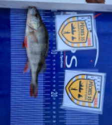 photo prise 52457 par jocelyn