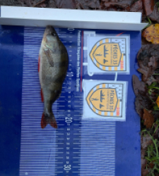 photo prise 52459 par Nicolas Thezelais