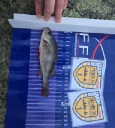 photo prise 52460 par ludwig