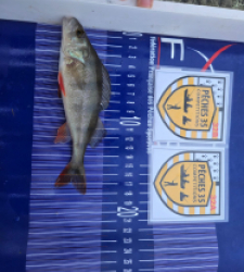 photo prise 52461 par ludwig