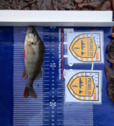 photo prise 52462 par Nicolas Thezelais