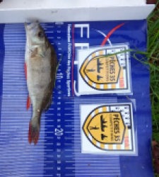 photo prise 52463 par Tarpo