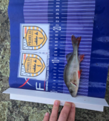 photo prise 52464 par ludwig