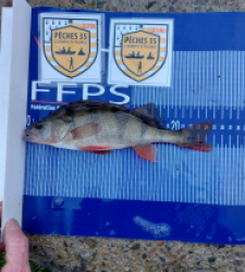 photo prise 52465 par david