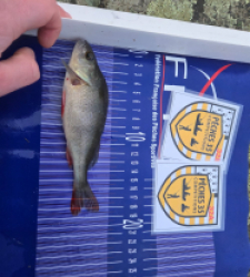 photo prise 52466 par ludwig