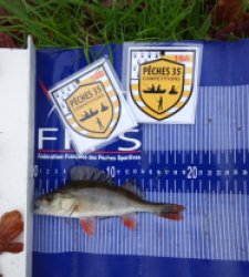 photo prise 52468 par Tarpo