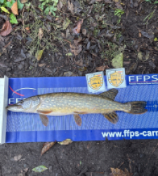 photo prise 52469 par Los fishing