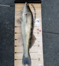 photo prise 52470 par Marco