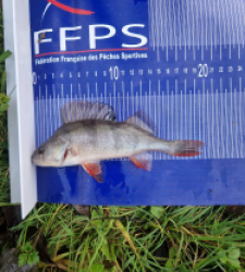 photo prise 52471 par louison