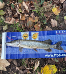 photo prise 52472 par Los fishing