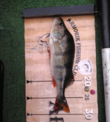 photo prise 52473 par Poch