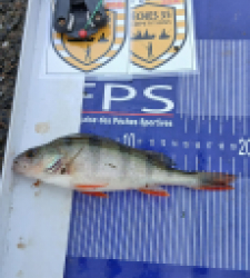 photo prise 52474 par Ronan