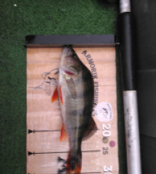 photo prise 52475 par Poch