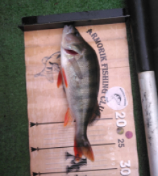 photo prise 52476 par Poch