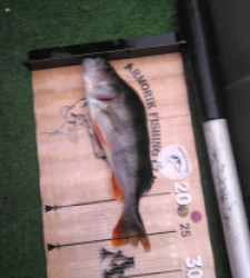 photo prise 52477 par Poch