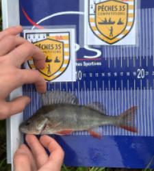 photo prise 52479 par kevin.brault5