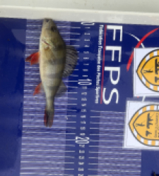 photo prise 52480 par Math