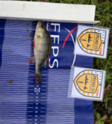 photo prise 52481 par oscar