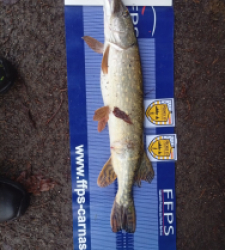 photo prise 52482 par nicolas