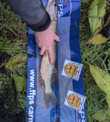 photo prise 52483 par mathias