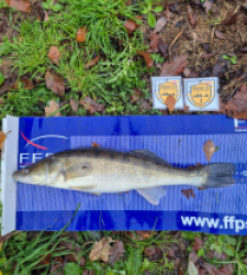 photo prise 52484 par brewen