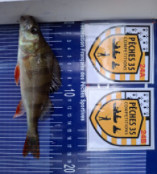 photo prise 52485 par Flap Flap