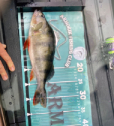 photo prise 52486 par MATMIX