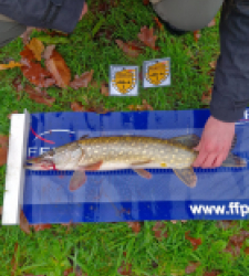 photo prise 52487 par leochemin35