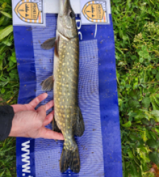 photo prise 52489 par Renaud