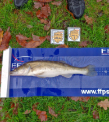 photo prise 52490 par leochemin35