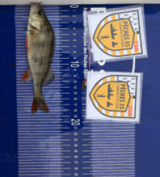 photo prise 52491 par Nicolas Thezelais