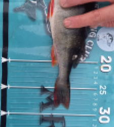 photo prise 52493 par Gurvan